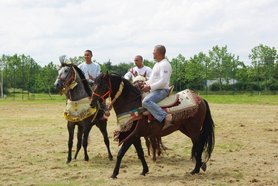 Le Moussem des Cultures 2008 081.jpg